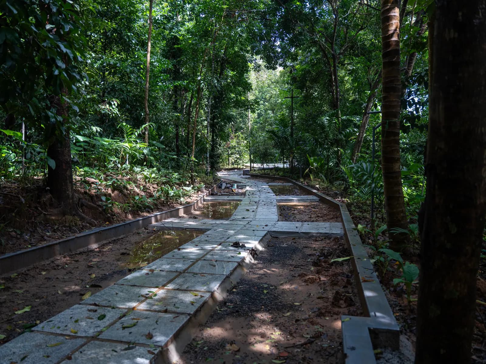 15 Day Ayurvedic Back and Neck Pain Relief Retreat in Kerala - Main Gallery Image