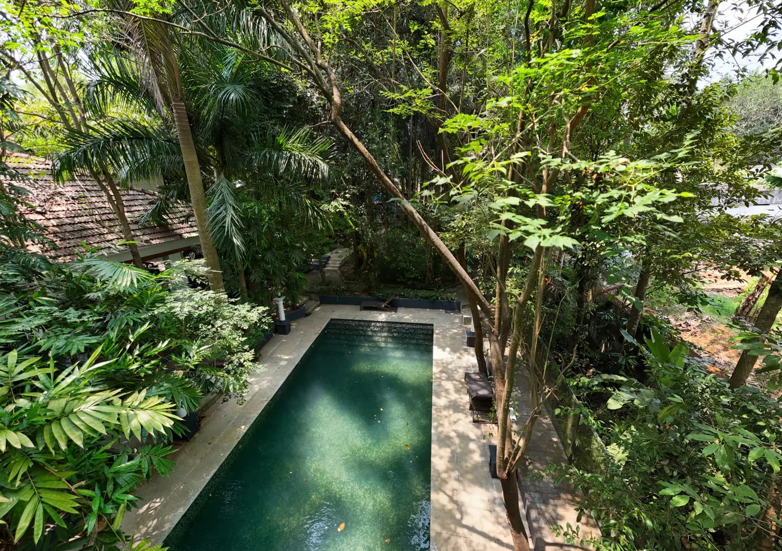 Narrow plunge pool among dense tropical plants at an Ayurveda retreat in Kerala