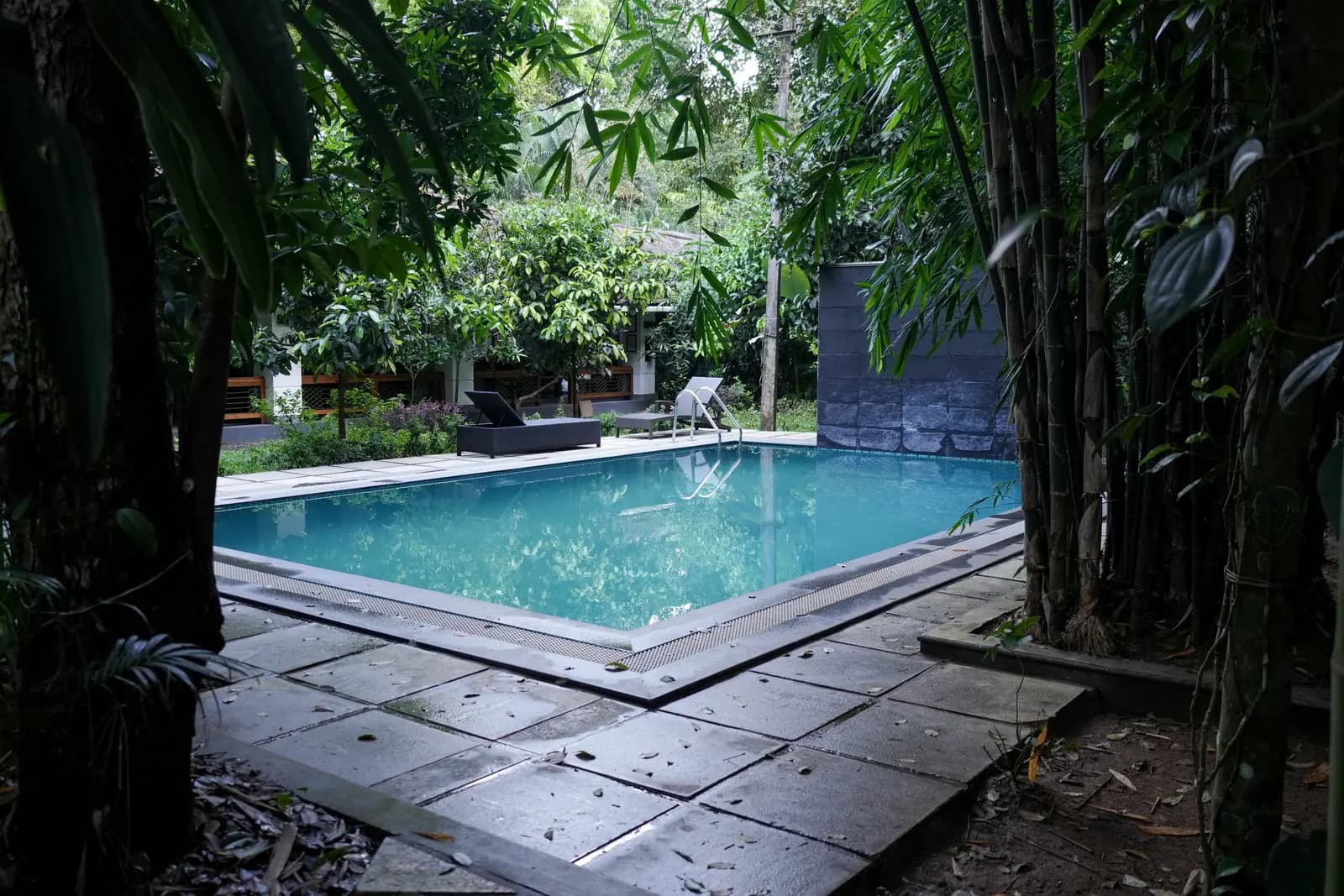 Swimming pool among tall tropical trees at an Ayurveda retreat by the Chalakudy River in Kerala