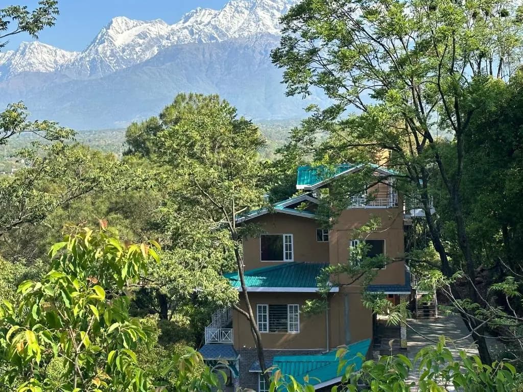 Hillside guesthouse with green roofs among trees below the snow-capped Dhauladhar range near Palampur