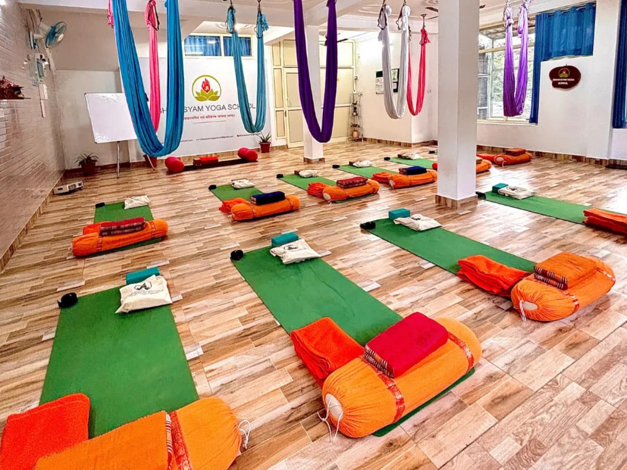 7 Day 50 Hour Yin and Aerial Yoga Teacher Training in Rishikesh - Main Gallery Image